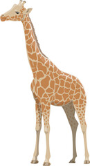 Giraffe, African safari zoo and hunt wild animal © Vector Tradition
