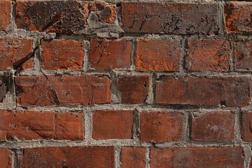 red brick wall with natural light