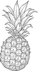 Pineapple tropical fruit isolated sketch icon