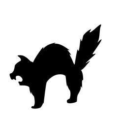 Witch black cat silhouette For decorating the cards on Halloween.