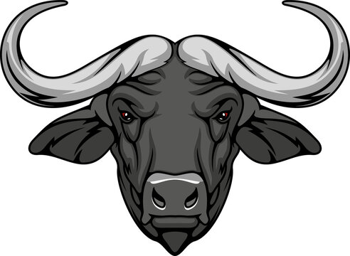Bison buffalo trophy isolated hand drawn portrait