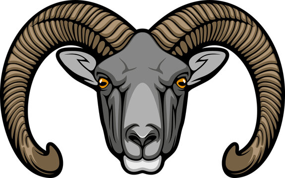 Retro wild sheep isolated mouflon animal head