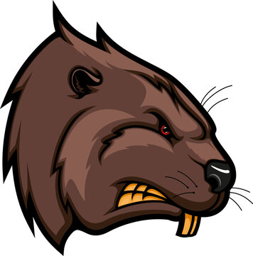 Bobr animal isolated semiaquatic beaver head icon