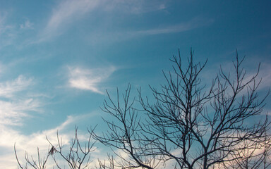 abstract cloudy background, beautiful natural streaks of sky and clouds..beautiful natural landscape.