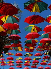 Fototapeta na wymiar umbrellas 