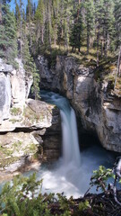 Stanley Falls, Beauty Creek, Jasper, Banff, Canada