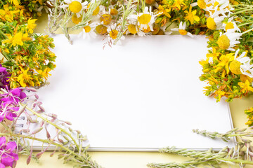 A frame of medicinal meadow and field herbs (ivan-tea, ivan-grass, kipreya, epilobium, chamomile, St. John's wort) and a notebook with a blank page. Space for text.