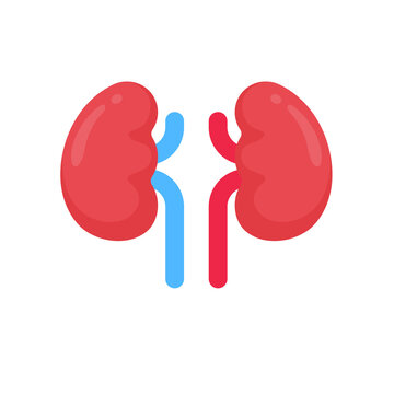 Kidney icon. A red kidney resembling a bean. Serves to filter waste to collect the gastric ulcer.
