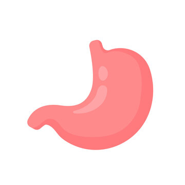 Stomach icon. The stomach contains gastric juice to aid digestion and ascend to the intestine.