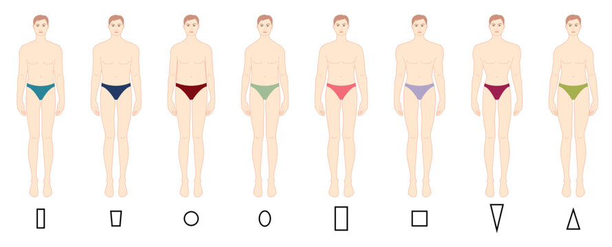 Set of Men body shape types in underwear: triangle, column, trapezium, circle, oval, square, inverted triangle. Male Vector outline sketch isolated illustration size Gentlemen figure front view boy