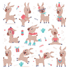 Cute fluffy llama in different poses set. Funny alpaca animal characters cartoon vector illustration
