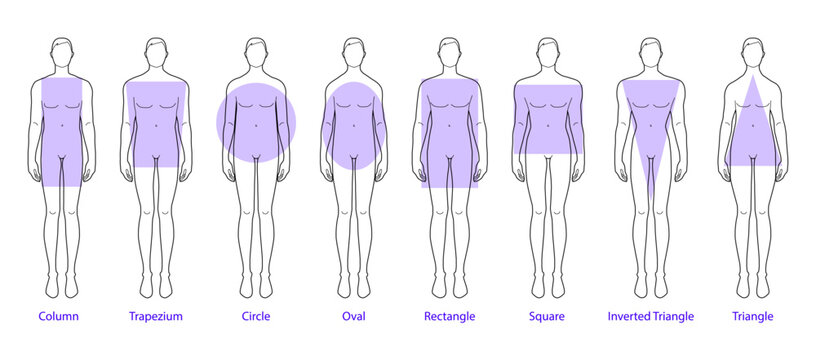 Male body shapes  Male body shapes, Body type drawing, Body types chart