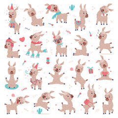 Cute fluffy baby llama in everyday activities set. Funny alpaca domesticated animal characters cartoon vector illustration