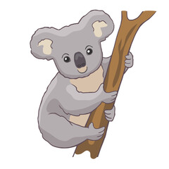 Cute cartoon koala on branch. Vector illustration funny animals character isolated on white background. 