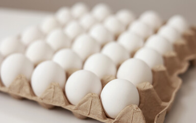 Close Up of raw chicken eggs in paper egg tray on white background. Group of Fresh white Eggs in a cardboard cassette. Organic food from nature good for health.