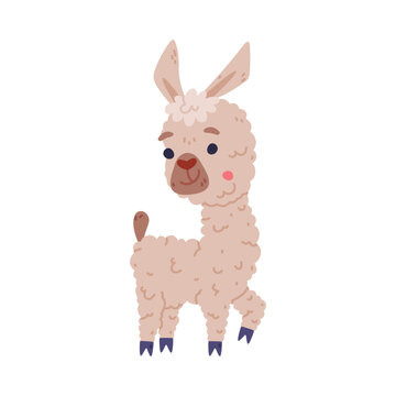 Cute funny baby llama. Alpaca domesticated animal. Childish print for sticker, card, textile, nursery decor vector illustration