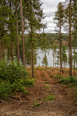 Wandern im Harz, am Granestausee, Granetalsperre, Waldweg zum See