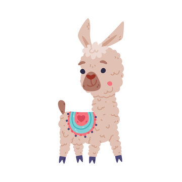 Cute lovely baby llama. Funny alpaca domesticated animal. Childish print for sticker, card, textile, nursery decor vector illustration