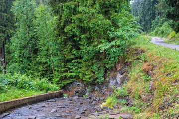 Wandern im Harz, am Grumbacher Teich, der Grumbach