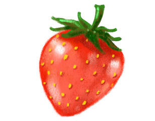 Strawberry red fruits summer juicy painting watercolor illustration