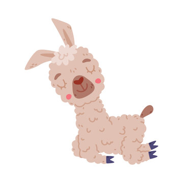 Cute sleeping baby llama. Alpaca domesticated animal. Childish print for sticker, card, textile, nursery decor vector illustration