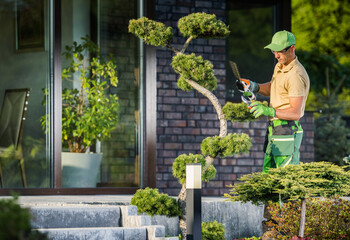 Garden Worker Trimming Decorative Tree Using Cordless Shaping Trimmer