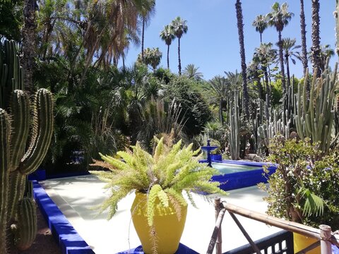 Marocco