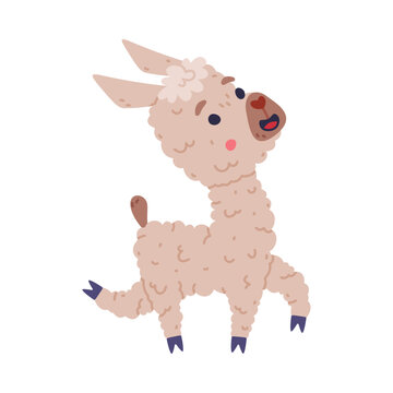 Cute fluffy running baby llama. Funny alpaca domesticated animal. Childish print for sticker, card, textile, nursery decor vector illustration