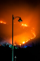 farola en incendio forestal nocturno