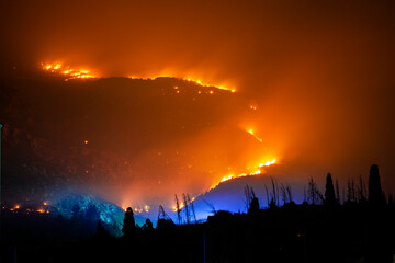incendio forestal de noche con luces de bomberos - obrazy, fototapety, plakaty