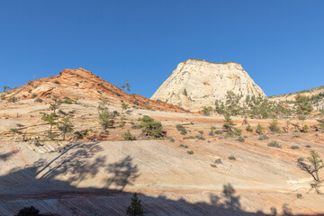 mountain landscape in the zion national park, Utah, USA