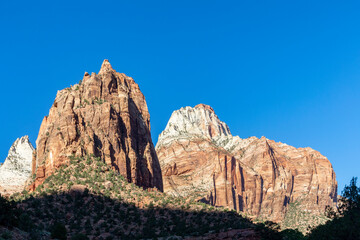 Fototapeta premium mountain landscape in the zion national park, Utah, USA