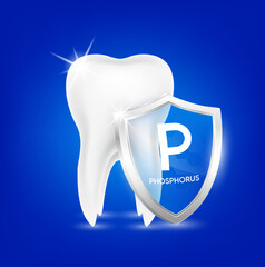 Healthy tooth and shield aluminum transparent phosphorus. Teeth gums healthy sparkling white. Used in children dentist clinic. Medical dentistry concept. 3D Realistic Vector.