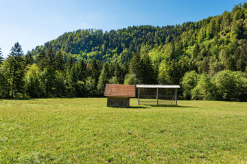 Old traditional wooden barn and vertical hay rack (Kozolec - hayrack) on a green meadow with pine...