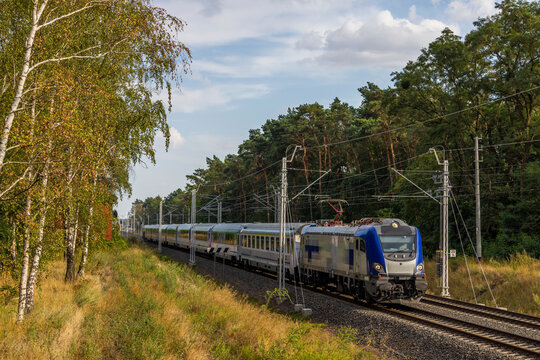 Nowoczesny pociąg Intercity w lesie