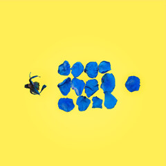 Yellow background with blue color composition in the abstract. Abstract backgrounds with a combination of flower petals.