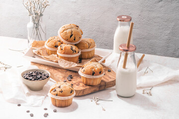 Chocolate chip muffins with milk