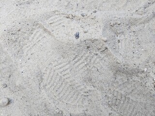 footprint in sand