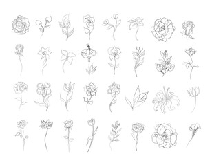 Flowers set, abstract print continuous line drawing, single line on a white background, isolated vector illustration. Line art. Tattoo and logo design for a spa or beauty salon. 