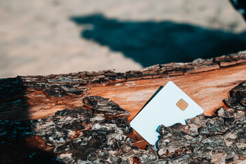 On the beach, on an old pine trunk, lies a white bank card. The concept of payment for nature. Copy...