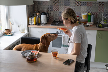 Smiling middle-aged woman eats sandwich with jam and drinks tea near Vizsla dog at table. Single...