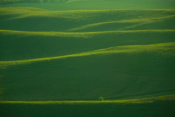 Obraz premium Abstract imae of green hills