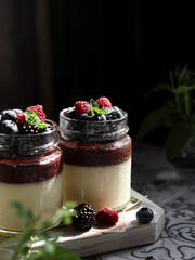 Panna cotta with shadows berries