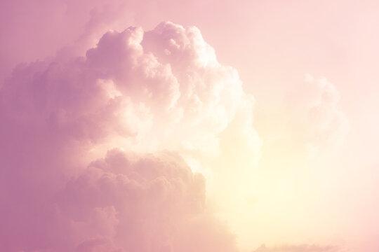 beautiful pink cloud at sunset summer nature background