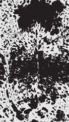 Appaloosa Horse Hide Animal Print. Hand drawn cowhide animal seamless pattern. Longhorn Texas Cattle print. Appaloosa Horse hide print. Animal seamless repeat pattern.