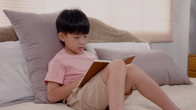 4K, 9-year-old Asian boy sitting and reading a book With pleasure, he readily reviewed the things he had learned each day in his bed in the bedroom of the house.
