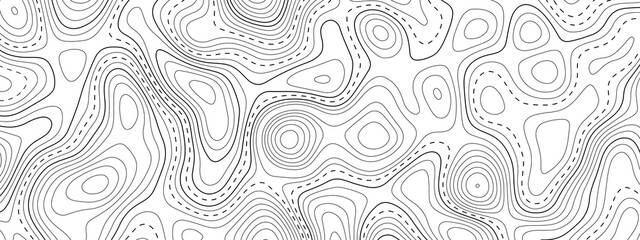 Topographic contour map. Vector cartography illustration. Topography and geography map grid abstract backdrop. Business concept. Fish Fillet Texture, Salmon fillet texture, fish pattern. paper texture