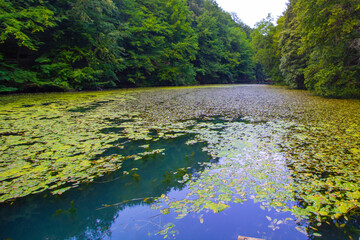 Hungarian tarn near the National Park of Aggtelek, Hungary, Josvafo