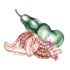 Watercolor cashew nuts