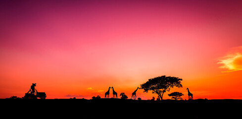 Naklejka na ściany i meble kenya safari background. amazing sunset and sunrise.
